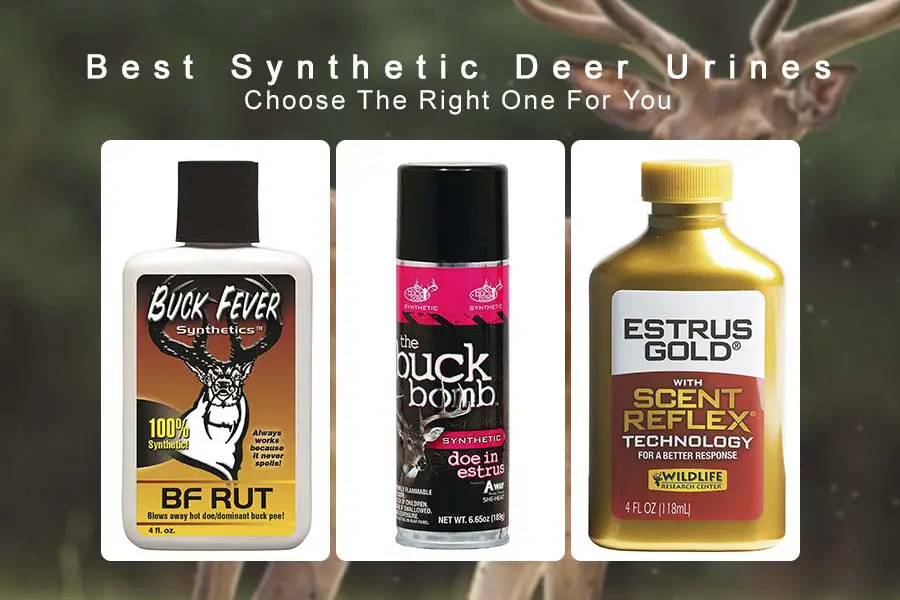 best synthetic deer urines