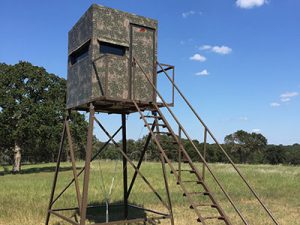 Atascosa wildlife supply tower blinds for deer hunting