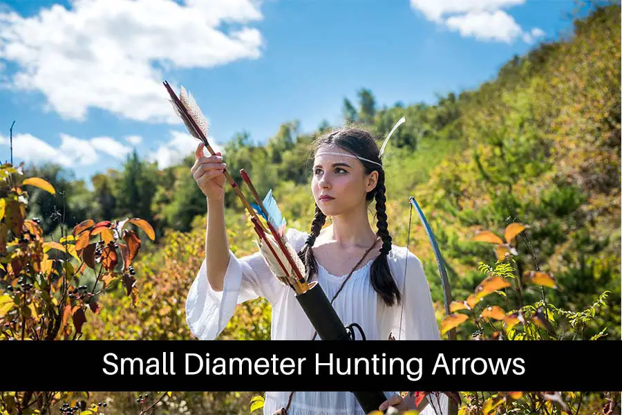 small diameter hunting arrows