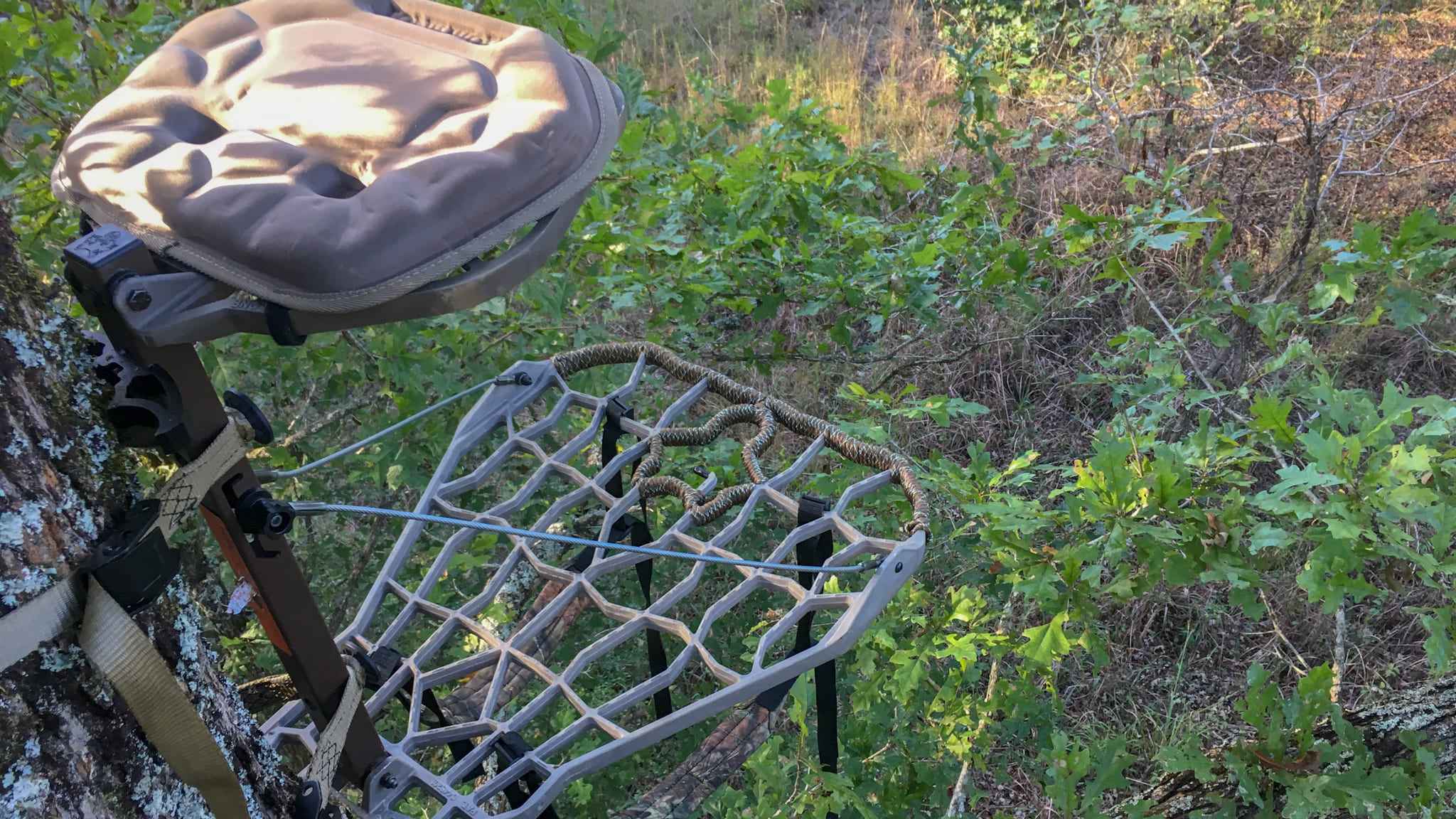 What Happened To Lone Wolf Treestands BowBlade What Happened To Lone Wolf Treestands Bowblade